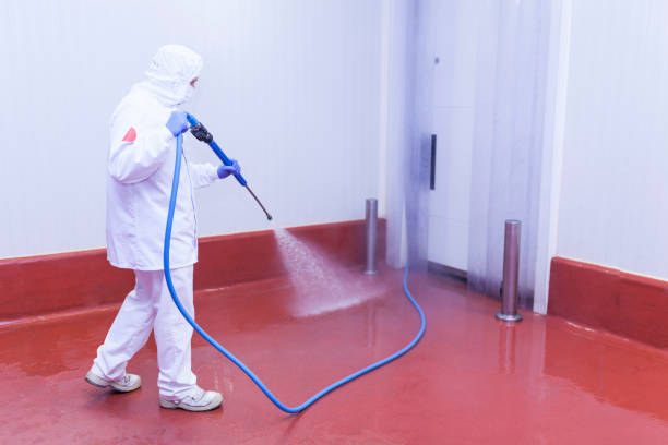 Best Gutter Cleaning and Brightening in Mcdade, TX